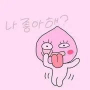 아이리