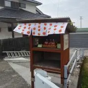 だにー
