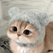 まるの画像