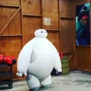 YHの画像