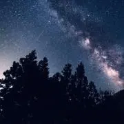 HARUの画像