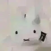 み【プロフ必読】の画像