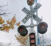 なしの画像