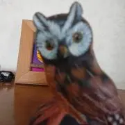 ちゅんの画像
