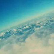 ミント