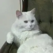 ともちん