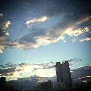 toriの画像