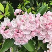 usakoの画像