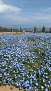 オレンジ　＊プロフィール必読＊の画像