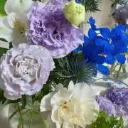 ヨッコ☘️の画像