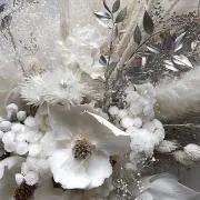 WAIの画像