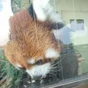 sou@の画像