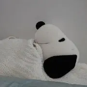 花の画像