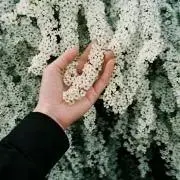 谷の画像