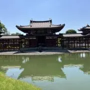 みかんの画像