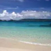 9の画像