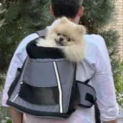 たか