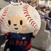 Rの画像