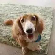 みきの画像