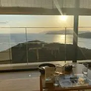 こかの画像