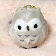 藤の画像