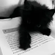 Tの画像