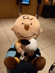 ゆーの画像