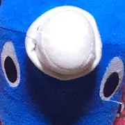 おうむ