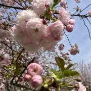 M♡プロフィール必読の画像