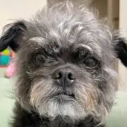 ゆき