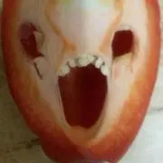 ゆーき