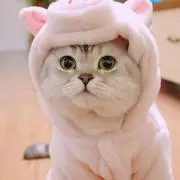 .の画像