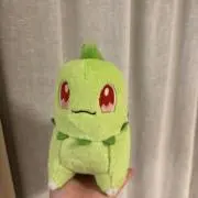 いずみん　24時間以内発送の画像