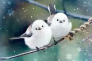 ハリポー　☆プロフご確認くださいの画像