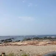 ひろねこ