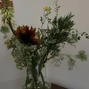 ynの画像