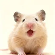 ユニ