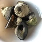 YumaYuma