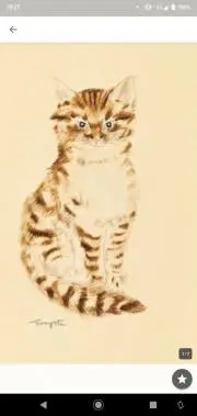 ニャンコきんぎょ