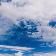 harumamaの画像