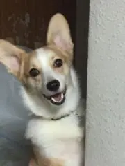 ユキムラ