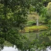Mの画像