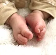 ぴぴ