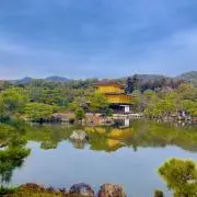 山本