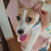 Gang.com☆の画像