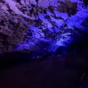 せねあ