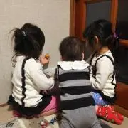 ぷー猫
