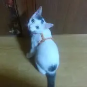 roku&nanaの画像
