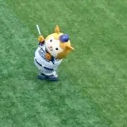 sacya2の画像