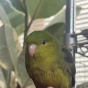 レトルトの画像